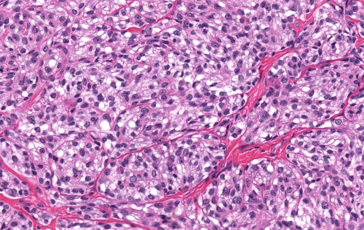 Jerad Gardner, MD tweet media