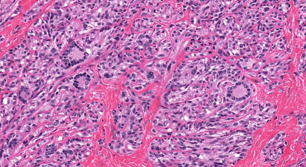 Jerad Gardner, MD tweet media