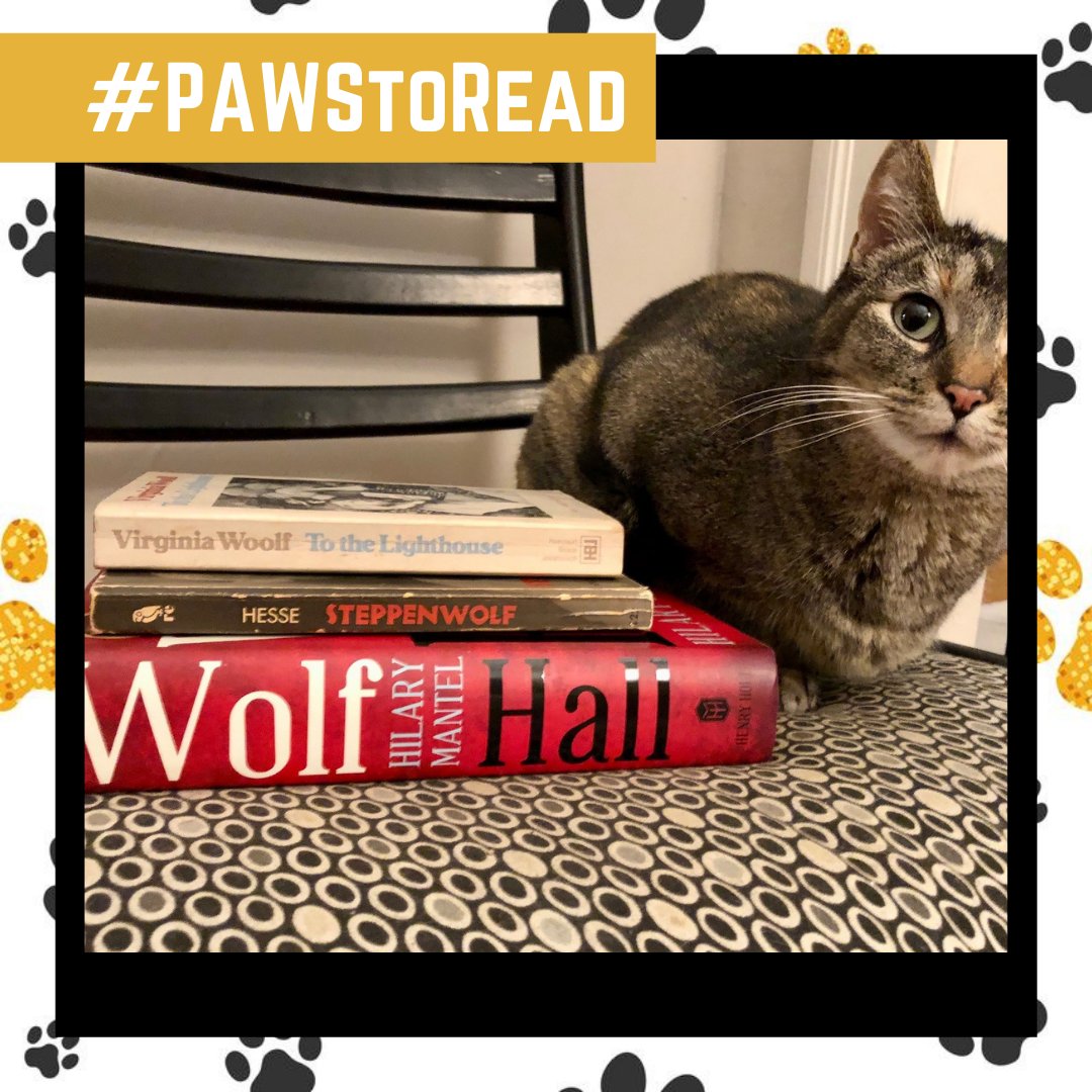 PacificLibrary's tweet photo. March is PAWS to Read Month & we wanted to share fun pics of library staff pets reading their favorite books! Here is Lisa's cat, Watson, deeply relieved that no actual wolves are in the picture.
Tag us in photos of your pets reading - we love books and animals!
#PAWStoRead https://t.co/fzIe77Nh1p