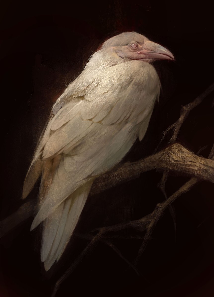 A fun study of a feathered friend