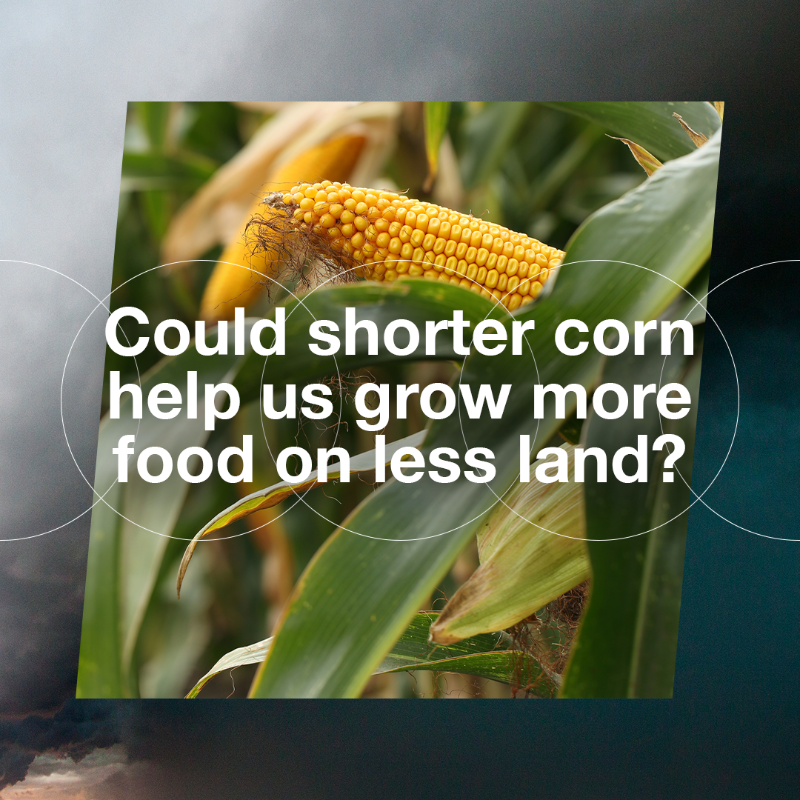 Bayer's tweet photo. It's an era of incredible #discovery. A wave of #innovation combining the life sciences and data is transforming health and nutrition. Learn about a future of possibilities, from curing diseases to growing more food with less resources. Join us for a live discussion April 1!