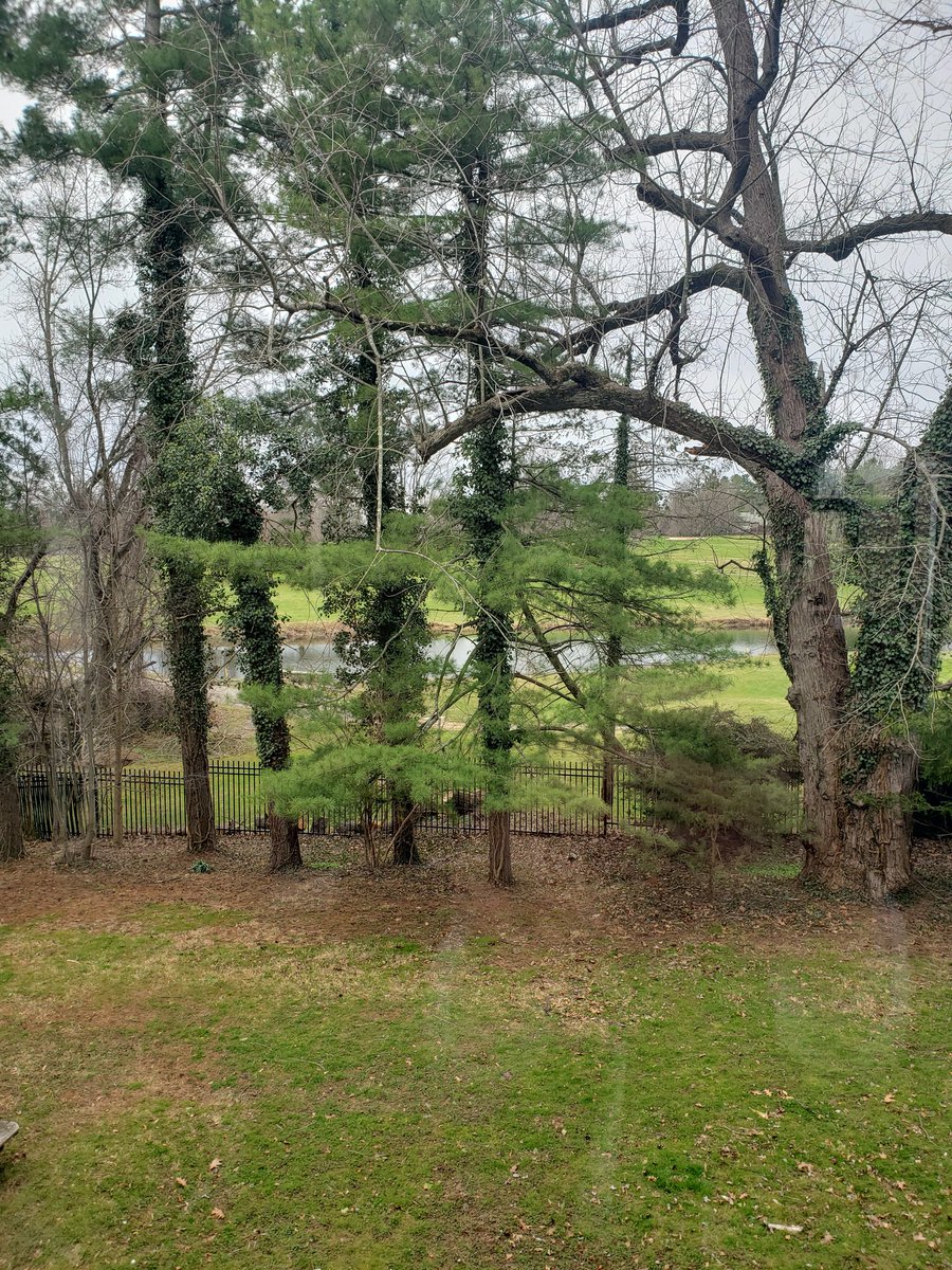 riotta's tweet image. .@Princeton #Ukraine #understandingwar