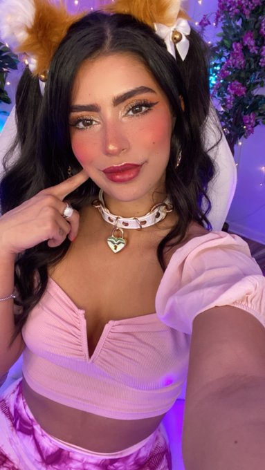 LIVE ASMR MEOW :3 https://t.co/yyqoleHuOH