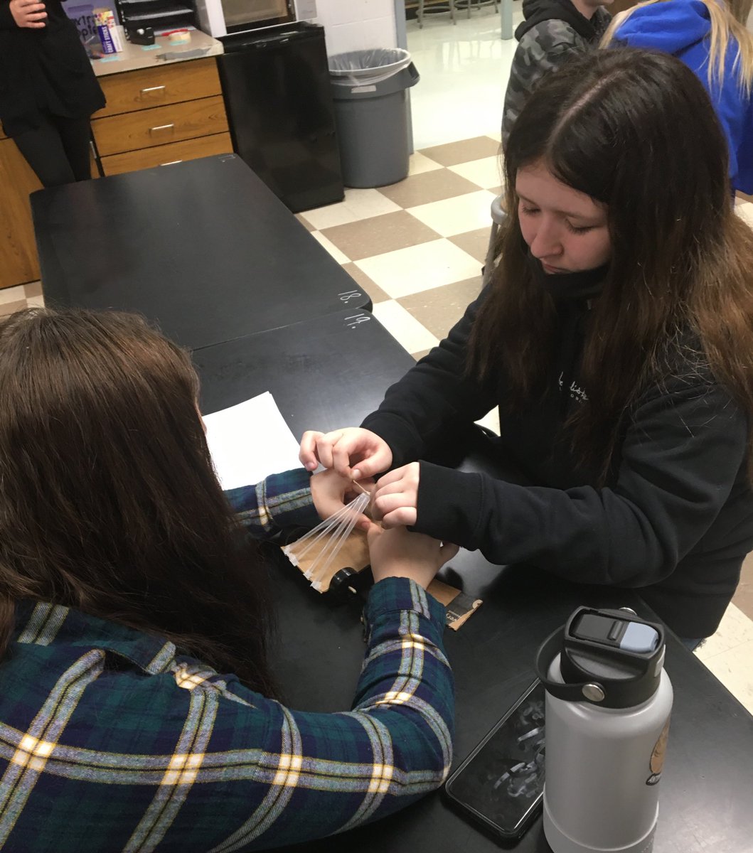 mrsgreenscience's tweet photo. Day 1 and 2 of the Egg Collision Car Project had students brainstorming, researching, and building their prototypes of a vehicle designed for passenger safety. Ss will be testing their vehicles in just a few days. #VMSOneRoar @vms_principal @NorthwestRISD https://t.co/yNN7qv5Bqk