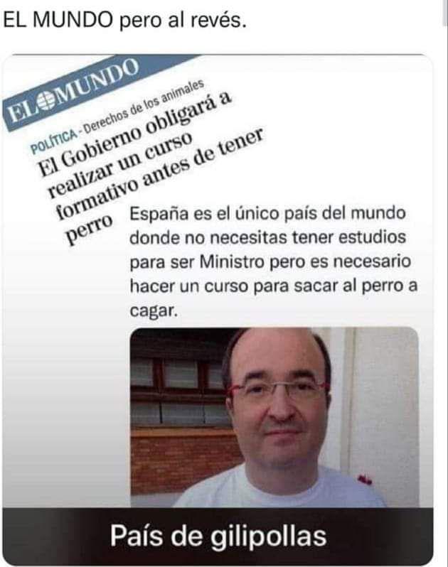 MIGUEL VALLEJO BERRA tweet media