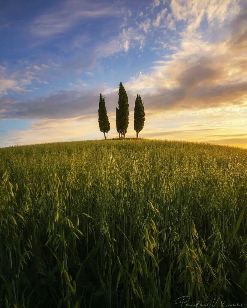 Con la speranza che il domani sia meglio di oggi
.
ift.tt/5RMHlfV
.
Photo by <a href="/pacifico/">joseph ferrari</a>.mirko
.
#tuscanyplanet #tuscanlandscape #tuscany #toscana #valdorcia #sanquiricodorcia #Italia #italy #cipressini #spring #primavera #natureaddict instagr.am/p/CbvWNbMrt0C/