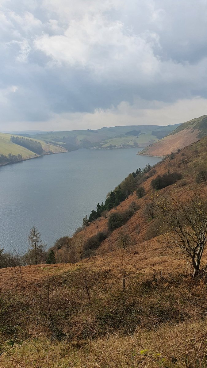 rachelmspicer's tweet photo. Today I got to discover the awesome welsh countryside 🏴󠁧󠁢󠁷󠁬󠁳󠁿 Tomorrow, I talk at Bangor University!!🪰🧠 https://t.co/mMIWml7cGK