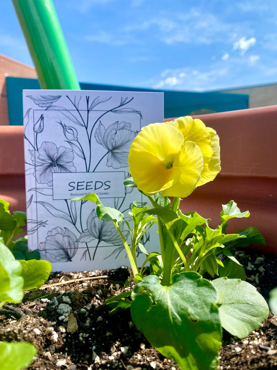 B_flyPavilion's tweet photo. Interested in a free packet of pollinator plant seeds? We have been thanking donors who gave to Butterfly Pavilion this month with a free packet of pollinator plant seeds. Donate by the end of the day tomorrow, March 31st, and we will send you a seed packet too! https://t.co/Cinehaq004