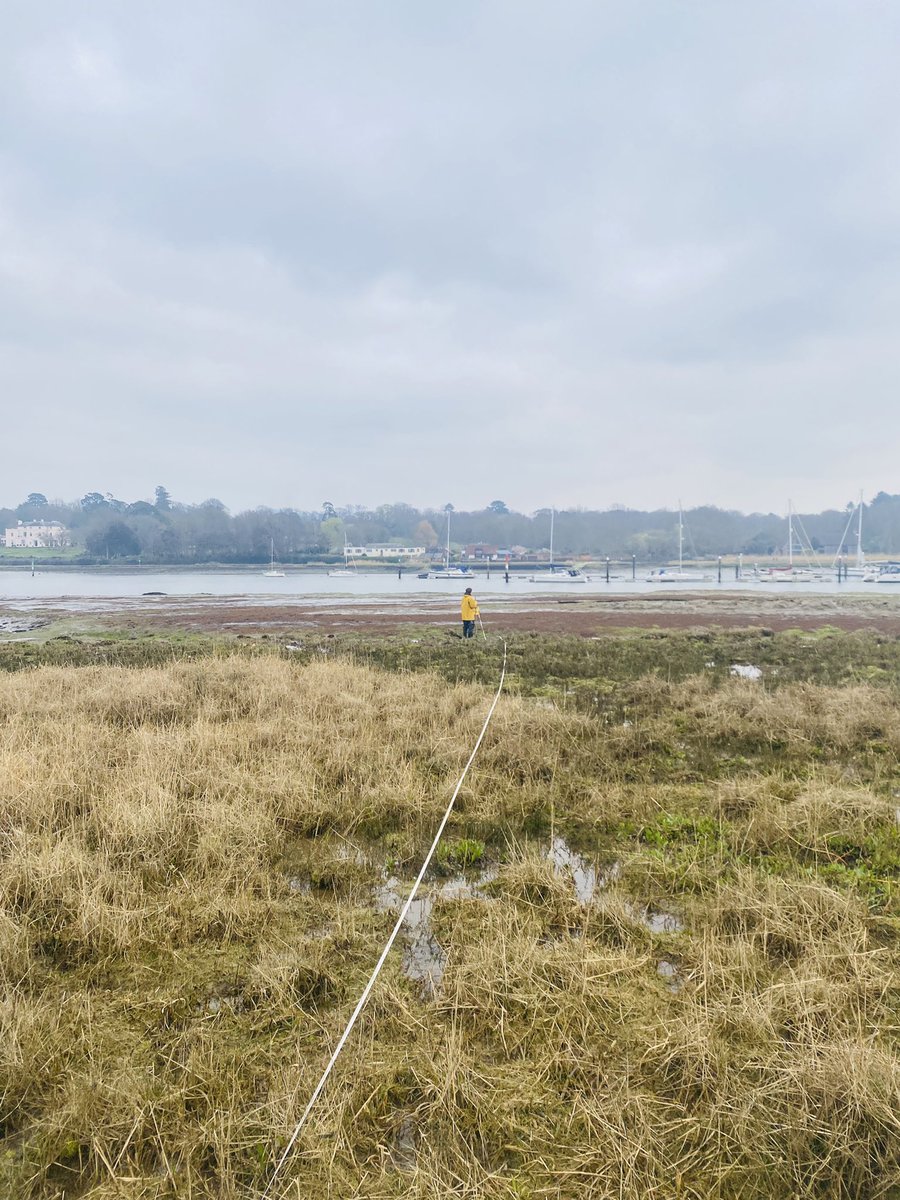 Steph Northen tweet media