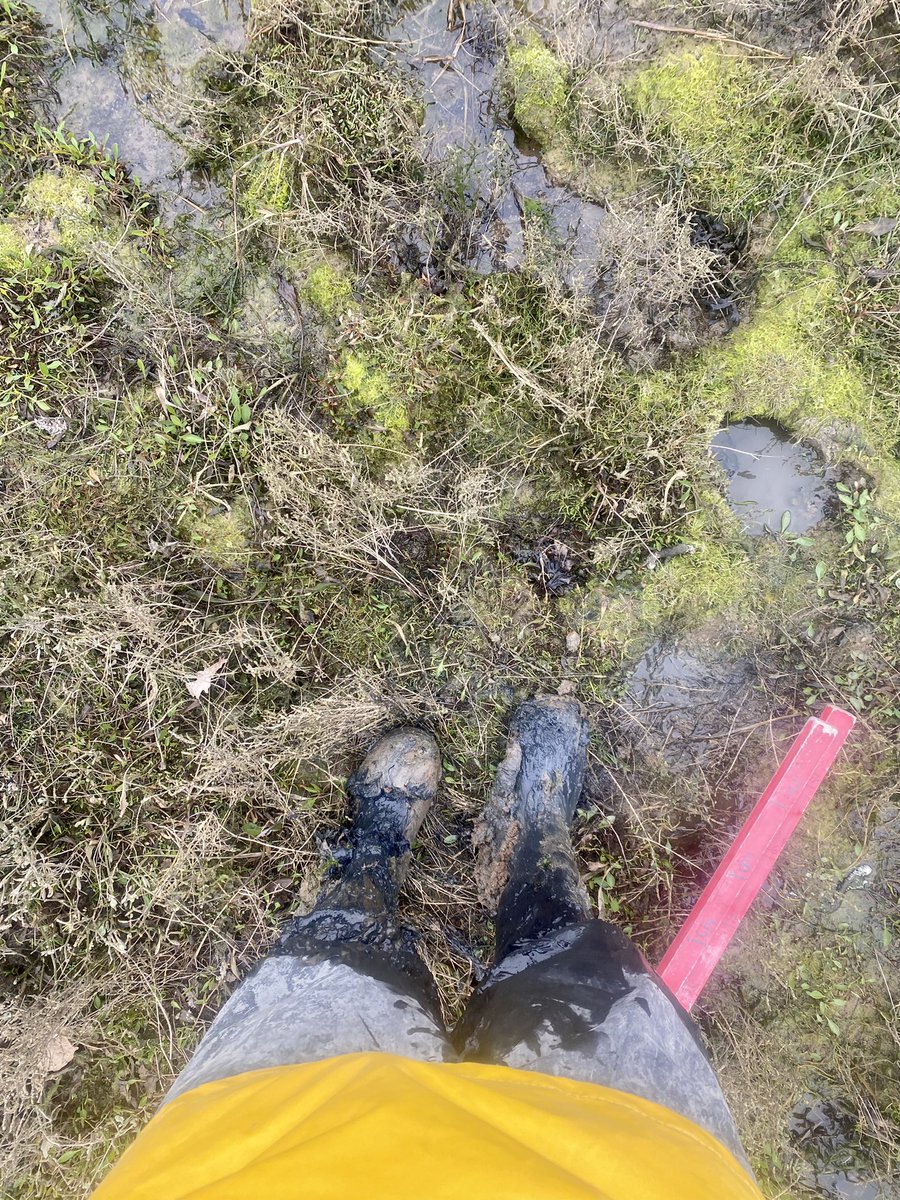 Steph Northen tweet media