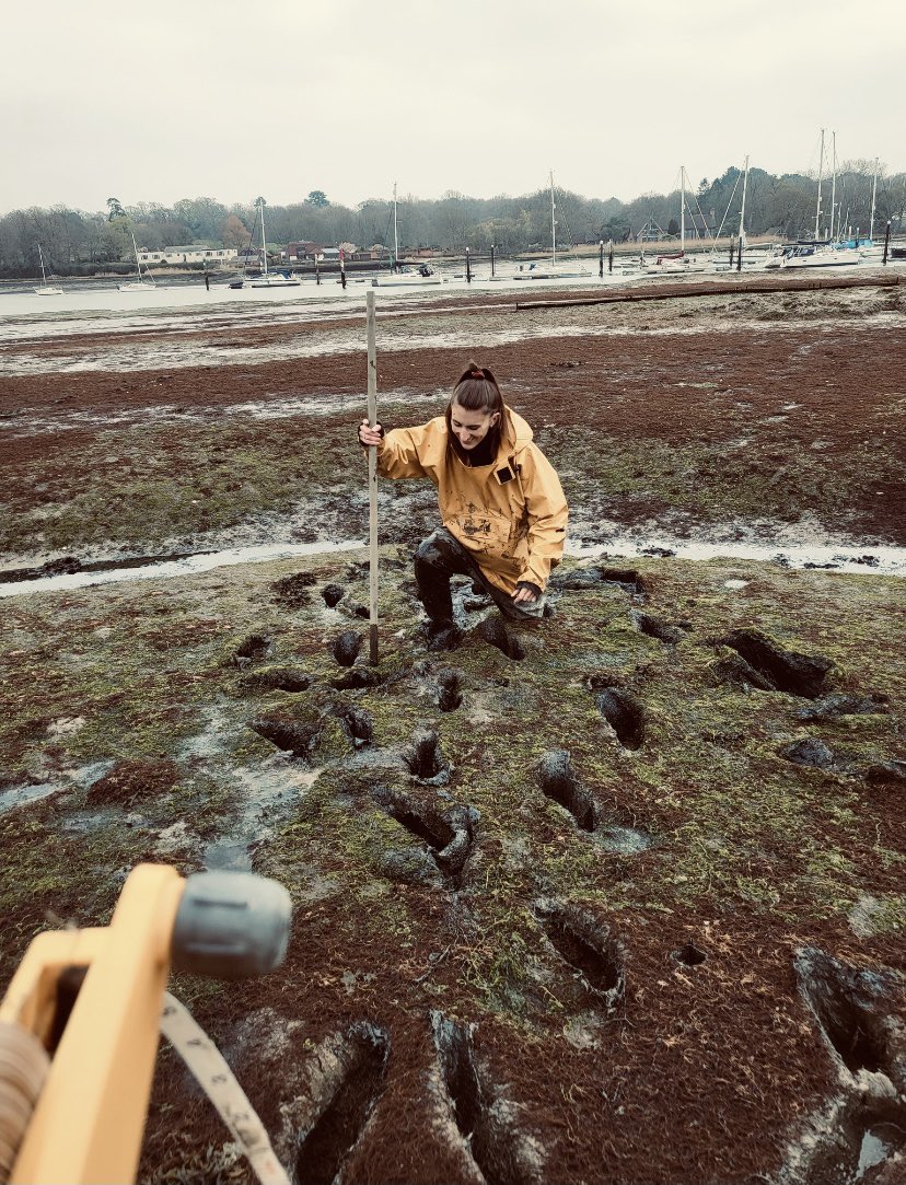 No better way to spend my day off than on the marshes! 🦪 🦆<a href="/MountainCD/">Charlie Mountain</a>