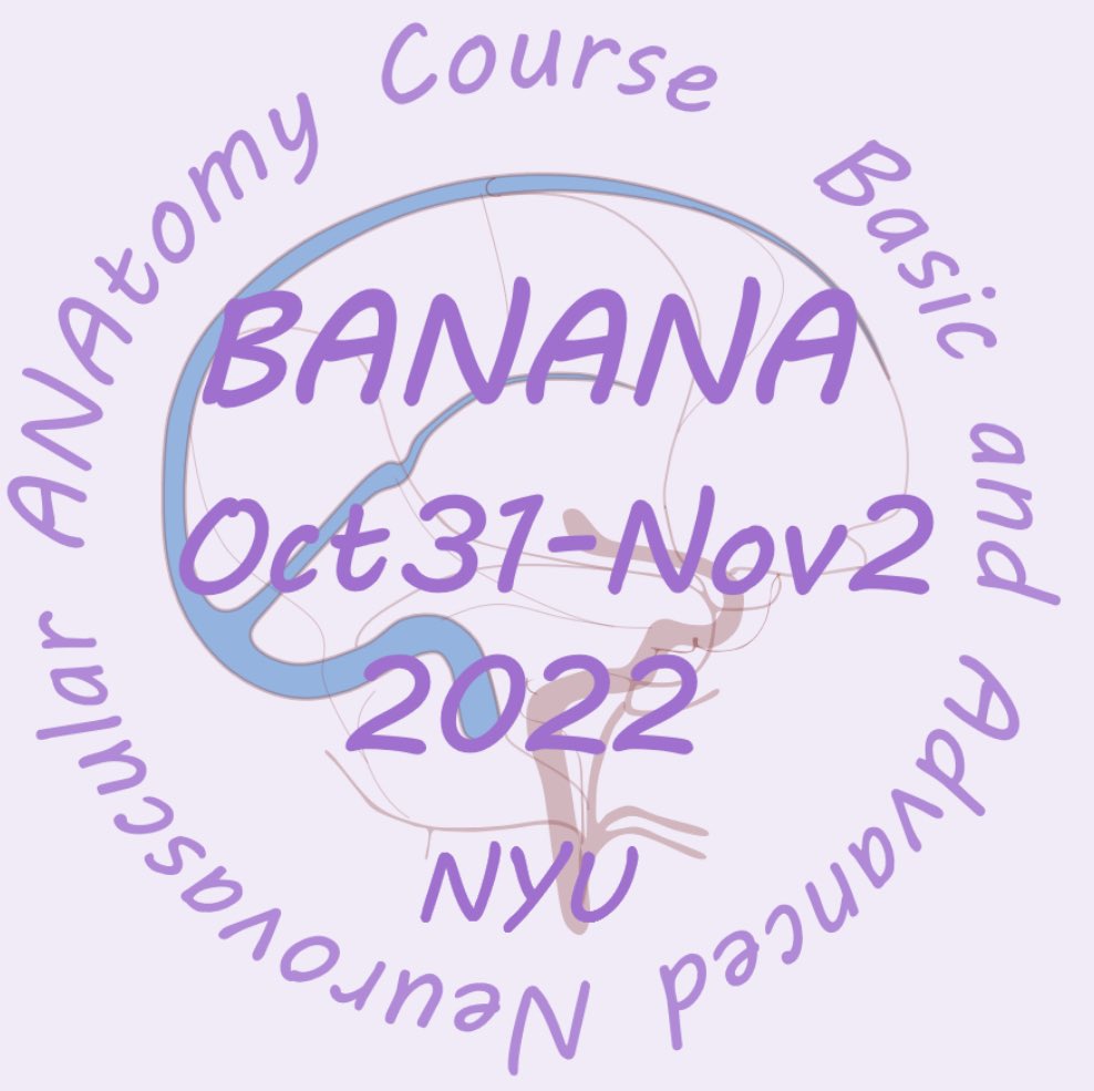 shashank_agarMD's tweet photo. @brainwithN Take a look at this website https://t.co/UZGEo9UzDq. One of the most comprehensive places to learn neurovascular anatomy. There is also a neurovascular anatomy course later this year #BANANA. Follow @neuroangio1  @eytanraz @ENossek for educational resources https://t.co/PbEQrXSVT8