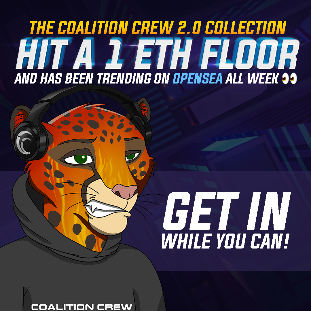 Peter Voogd | The MAVERICK 👑 tweet media