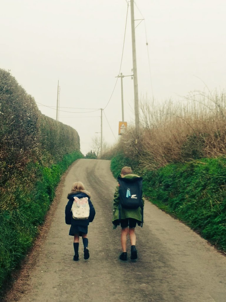 peter edwards tweet media