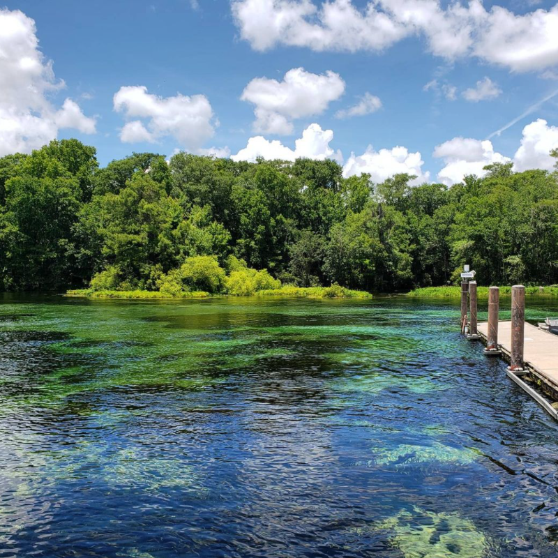 VisitWakulla's tweet photo. #WhereinWakulla can you find this view?🤔
Hint: The history of this place dates back to over 12,000 years ago!
📸 : @tinyocean_rving
#wakulla #visitwakulla #wildlife #outdoors #optoutside #nature #florida #northflorida #FLhistory #history https://t.co/ouZckxvWCT
