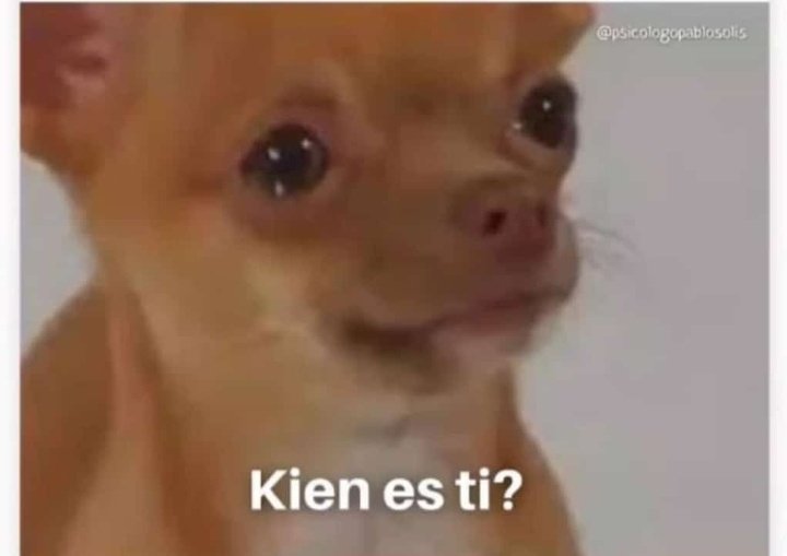 baaw19_'s tweet photo. -Mi psicóloga: Tu futuro depende de ti.
-Yo: https://t.co/f04zJFzaTG