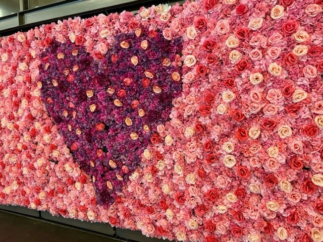 SFMTA_Muni's tweet photo. We are dazzled by these spectacular floral sculptures! TY Mayor @LondonBreed for #BloomSF - family-friendly events &amp; activities near #SFMuni &amp; @SFBART running until April 2. Get event details &amp; sculpture locations: https://t.co/fSXyDeVlVh https://t.co/KOz0skSttg