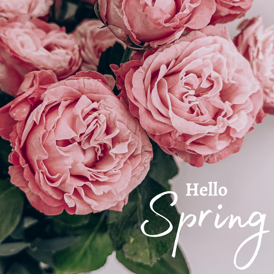 LoveFromAbove22's tweet photo. Our Winter countdown has finally come to end! Welcome, #Spring! Oh, how we have missed you! 🙌🌸🙌 https://t.co/ECfmutDjeN