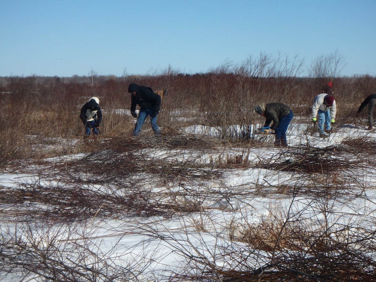 clcmnedu's tweet photo. Some of our Natural Resources students and instructors volunteered to help cut brush at the Gun Lake WMA near Palisade.
#CLCcares #givingback https://t.co/U9fqSWLXUy