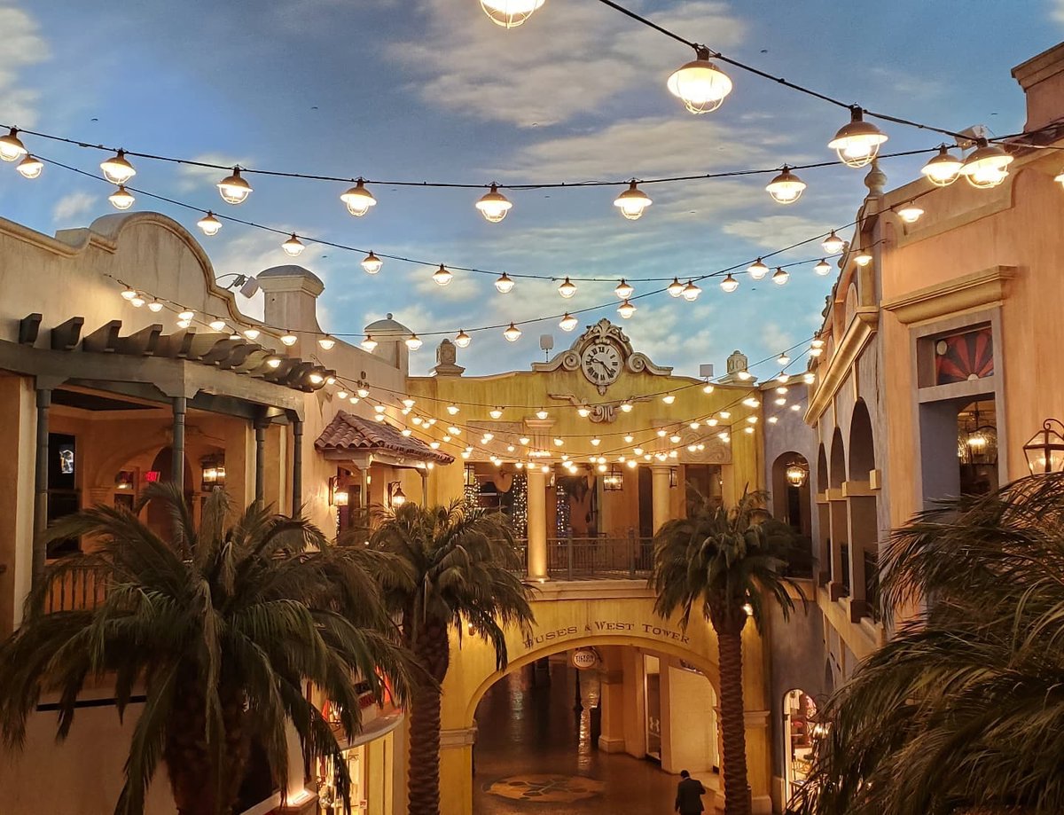 TropicanaAC's tweet photo. Blue skies and palm trees โ this is our happy place ๐ #TropViews https://t.co/kvBToaDOl5