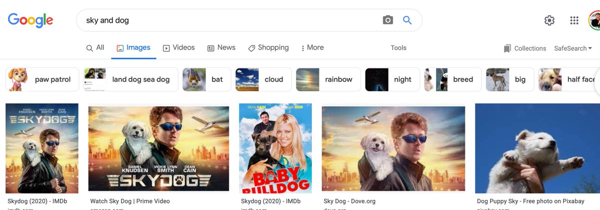 henkvaness's tweet image. #googletip Next tweets. A new way of searching for photos on the web. The majority of people will type just a sky and a dog in Google Images if they are looking for a picture of these two things. In terms of the quality, the results are decent, but not spectacular.