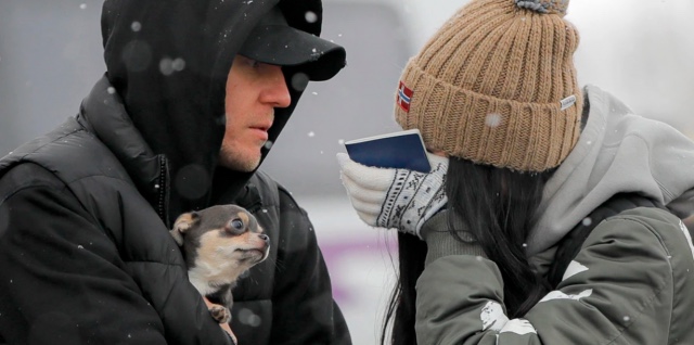 DrMartyBecker's tweet image. I’m paying my own way to travel to the Ukraine border, but our friends at @Worldvets are working with me to set up ongoing free veterinary services to pets from Ukraine in need of care.

Learn more &amp;amp; donate: worldvets.org/2022/03/helpin…. And please RT!