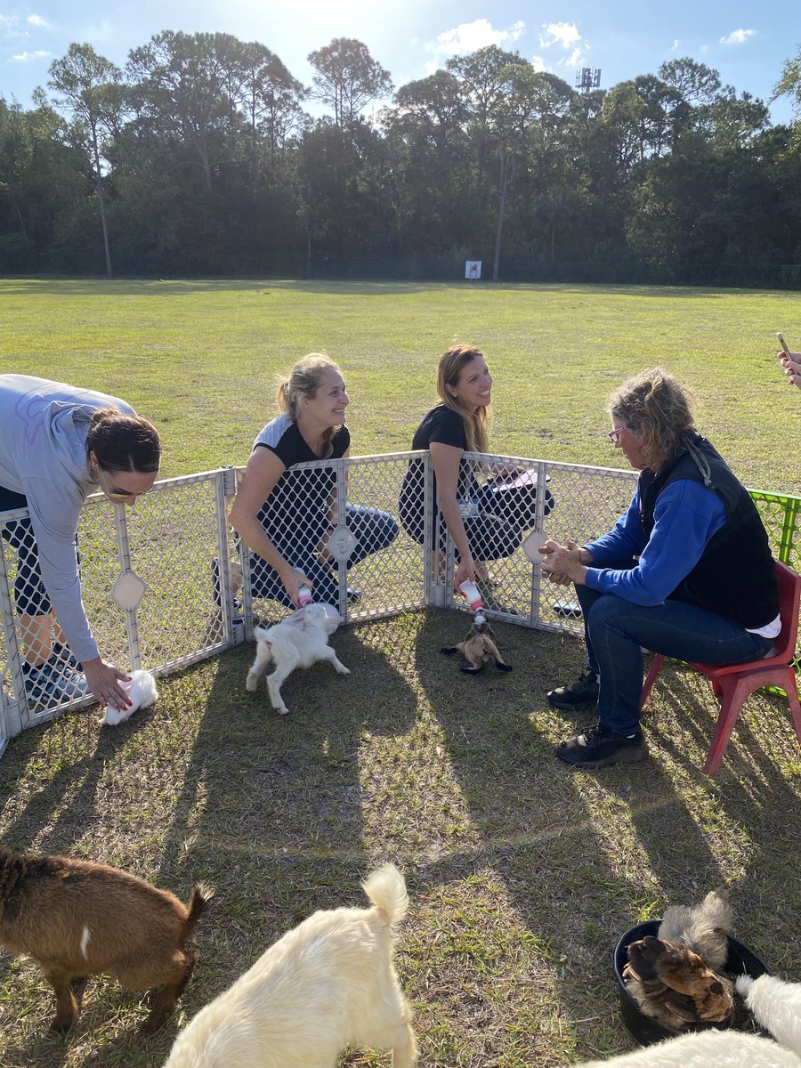 Mrs Springer tweet media