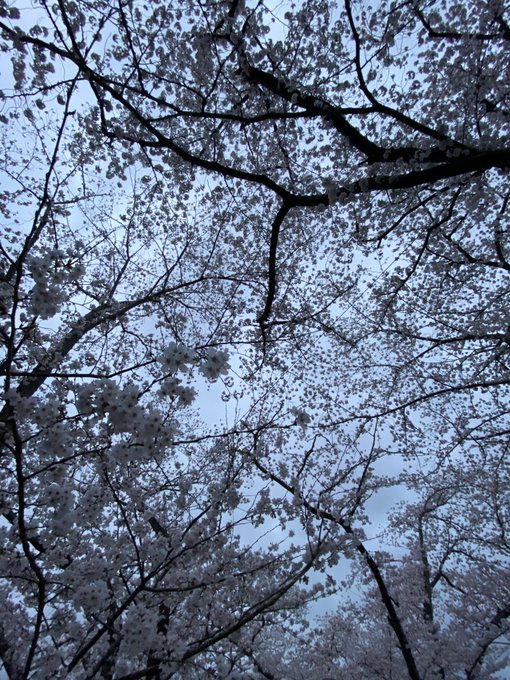 暖かいけど天気良くなかった😞 