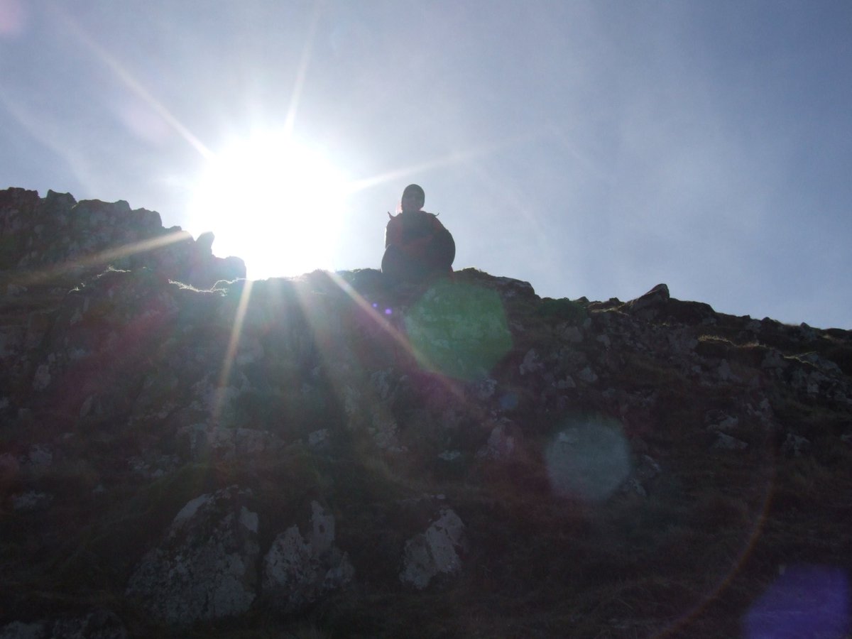 St Matthew's Wellbeing tweet media