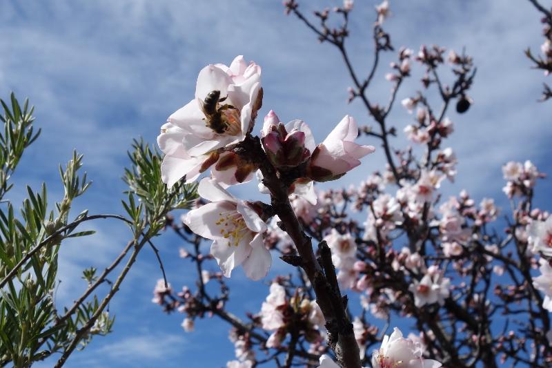 mailchi.mp/netzwerk-fraue…
Hier finden Sie neue Artikel und Buchempfehlungen, Webinare und Veranstaltungen und ein "Oster-Schnäppchen" von Floved.eu