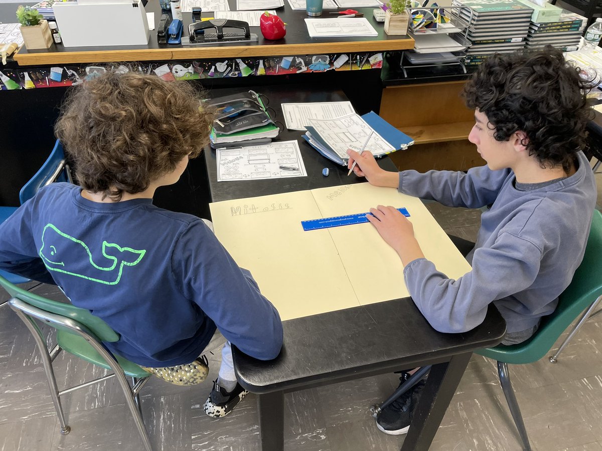 mrs_vindigni's tweet photo. We love seeing our students work together! After reading about Mitosis &amp; Meiosis, students worked to draw out the steps of the process. #teamwork https://t.co/FD6zkbvYly