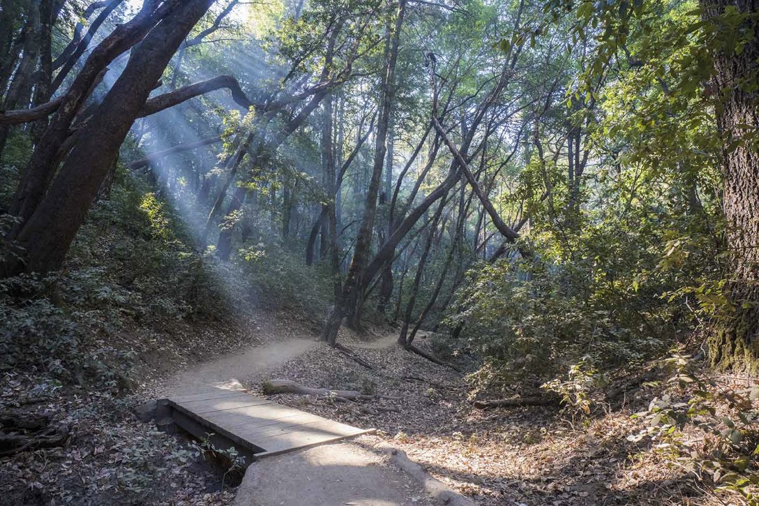 ParcelQuest's tweet photo. Everybody knows Silicon Valley as the home for some of the most recognizable tech giants in the world, but did you also know Silicon Valley has some of the most beautiful hiking trails in all of Northern California! https://t.co/UNpBjUBRi8 https://t.co/nMgaW4oqzg