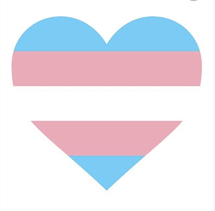 lovelee717's tweet photo. 3/31-Transgender Day of Visibility. Together we can celebrate transgender people around the world, raise awareness, &amp; bring visibility to the discrimination transgender people face. Show support by wearing any of the colors in the transgender flag. @NortonMiddle @NortonSchools https://t.co/786wFKHByS