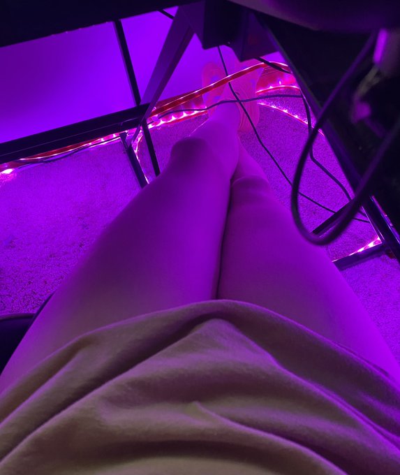 No pants is the way for the 24 hour stream https://t.co/XVTBLLIg0W<a href="/tag/apexlegends"class="tags"><span>#apexlegends</span></a>
