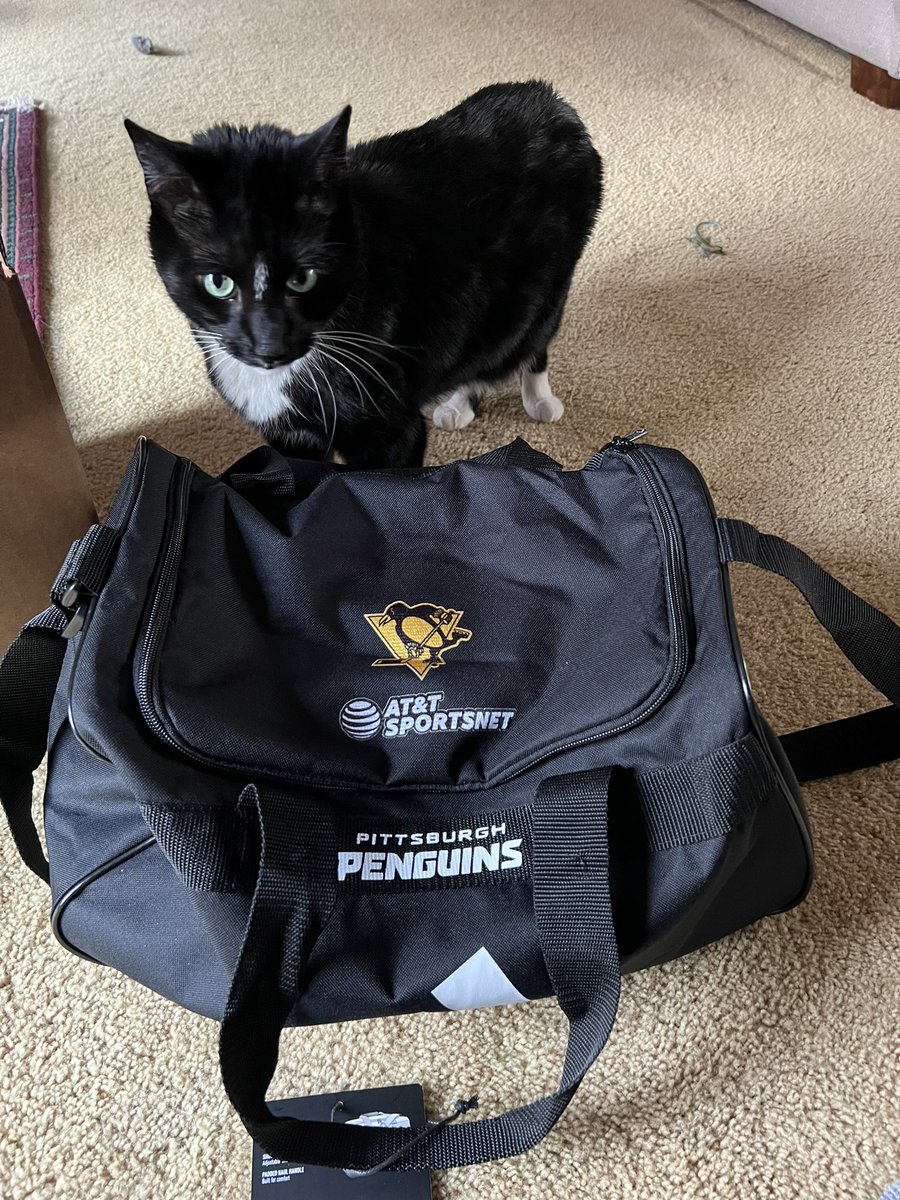 TomPol217's tweet photo. @ATTSportsNetPIT I got my charity bag in today. Pushed down down on the top and told my wife “doesn’t feel like there is a jersey in there. And she said “awe”. But when I opened it up, SURPRISE! #pittsburghpenguins #lemieuxcharities https://t.co/BrqCZaz1aN