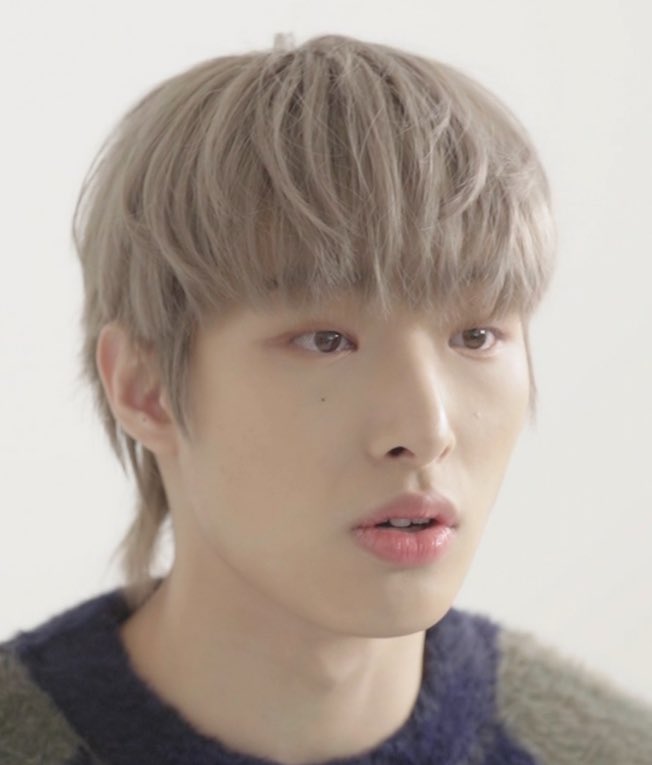 minkithink's tweet image. he looks cuddly and cute