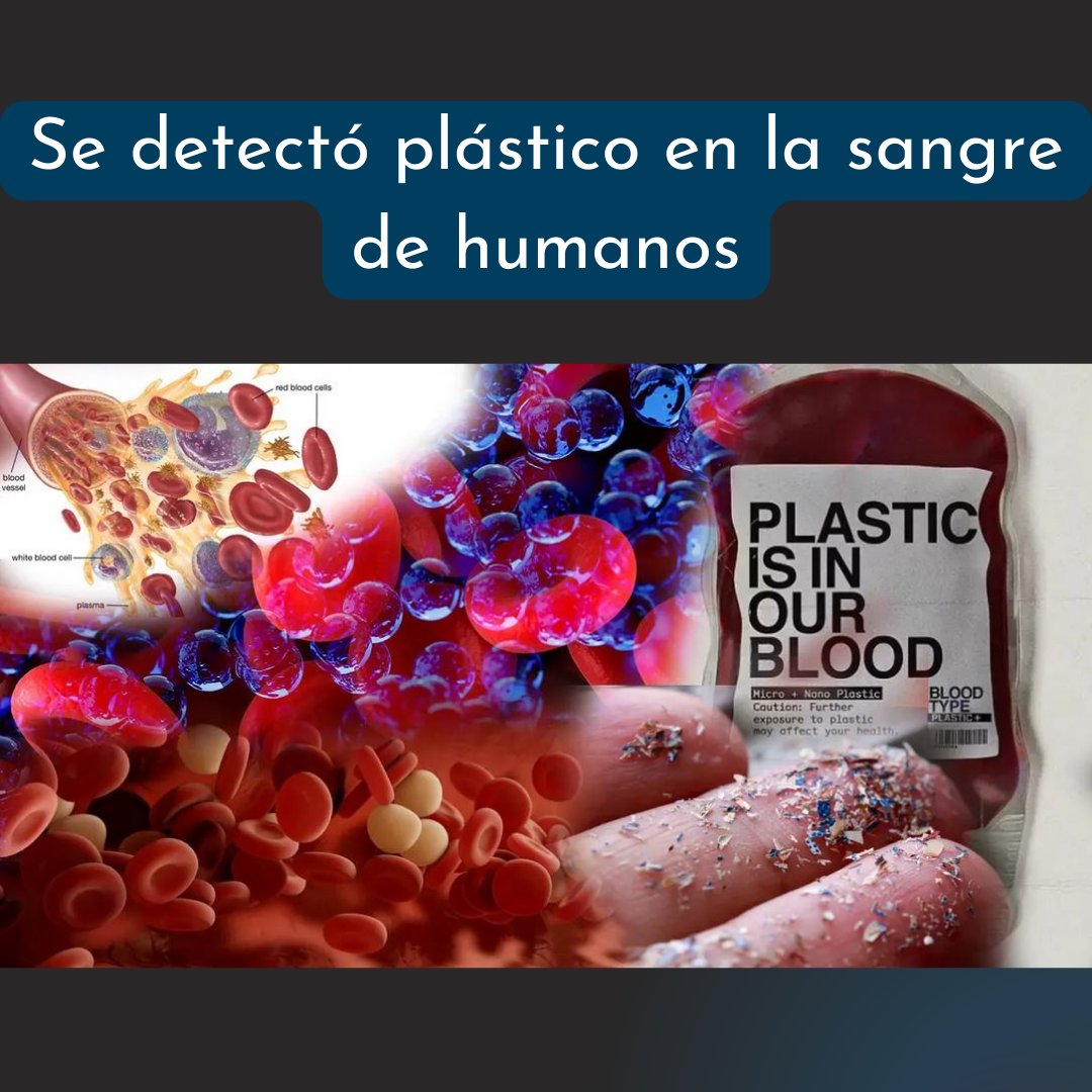 Intibonomo's tweet photo. Se encontró plástico en la sangre de personas. 

Un estudio publicado en la revista
"Environment International"
encontró polímeros de plástico en 17 de las 22 personas que se sometieron al estudio. https://t.co/MADx1qrj92