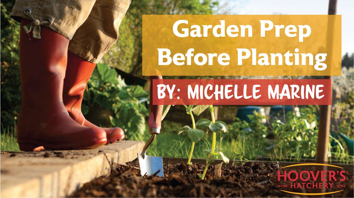 "Are you excited to grow your own vegetables this year? Here are a few things to do to prep your garden for the flurry of planting!" Read more here bit.ly/35pRAxD 🌱☀️