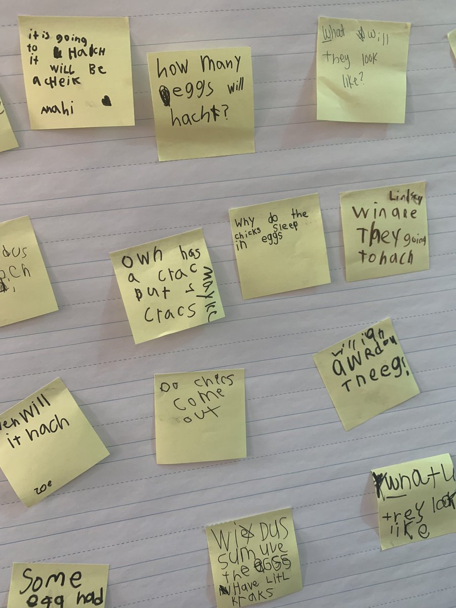 Our chick eggs came today and we had so many questions to research! #wyandotecs #weshinebright #WEarelakota