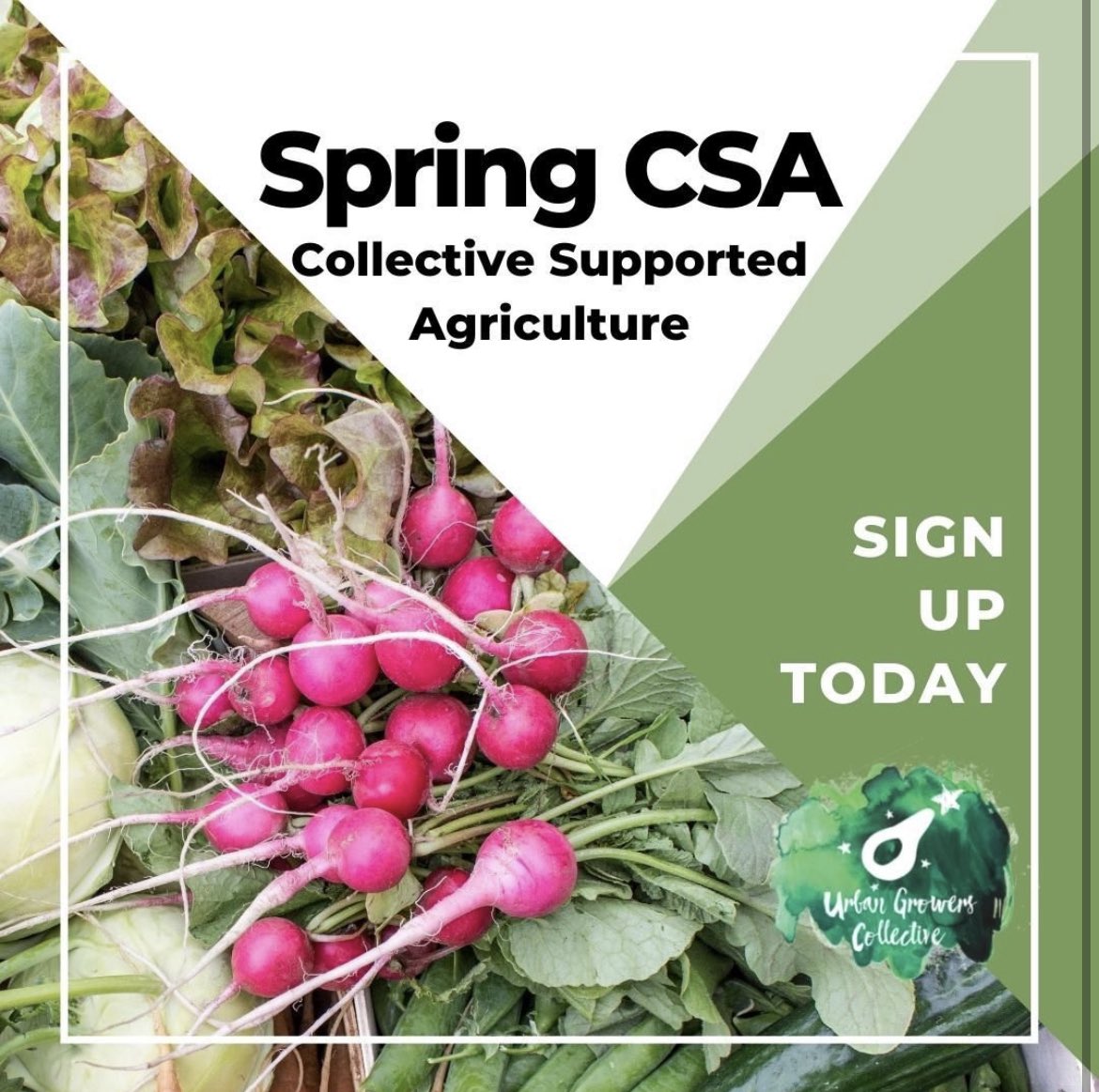 Urban Growers Collective tweet media