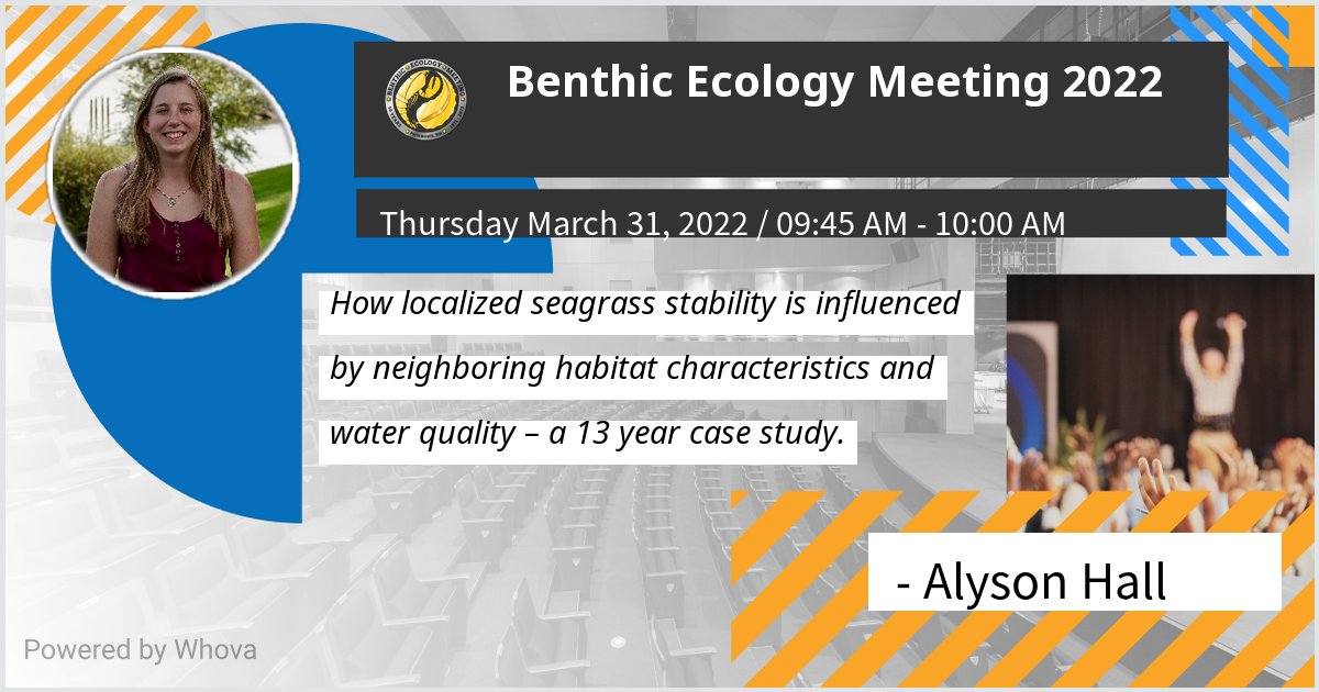 Super excited to speak at the Benthic Ecology Meeting 2022 tomorrow,  diving into what affects seagrass patch and meadow stability! @benthicecology #BEM2022 #BEMS