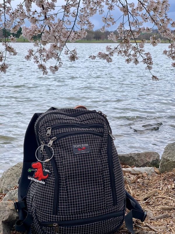 tombihn's tweet photo. Can't decide what we love more — this perfect spring scenery or the Synapse in Original Halcyon.
Photo credit: @fieldscoco
#tombihn #synapse19 #halcyonfabric #sewninseattle #cherryblossomfestival https://t.co/afLxs174TL
