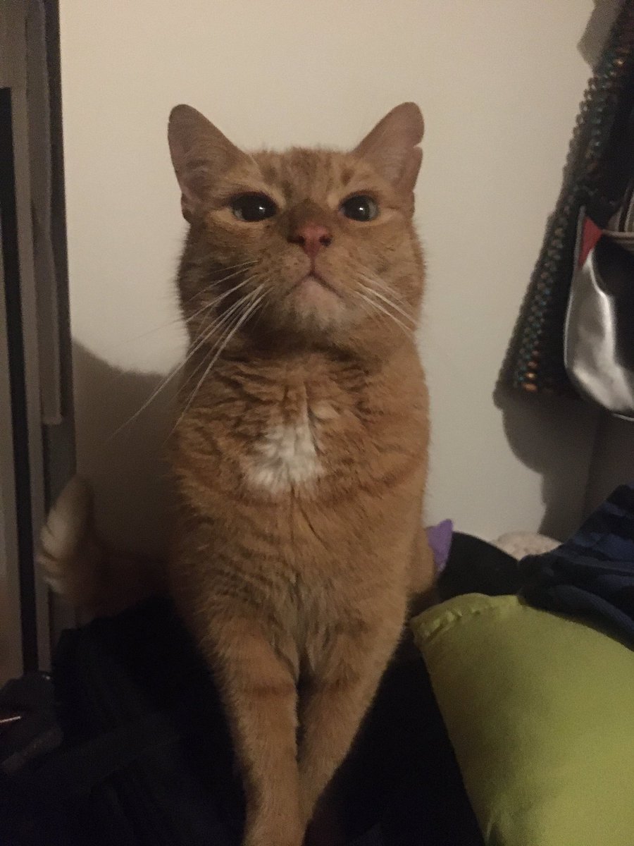 ryujisnipple's tweet photo. @Lucky3Jumps he doesn’t believe you https://t.co/ombBiVhliM