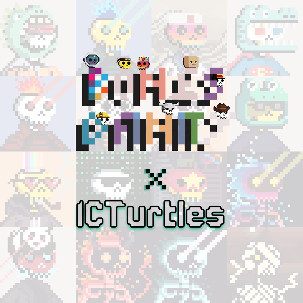 ICTurtles|Galapagos tweet media