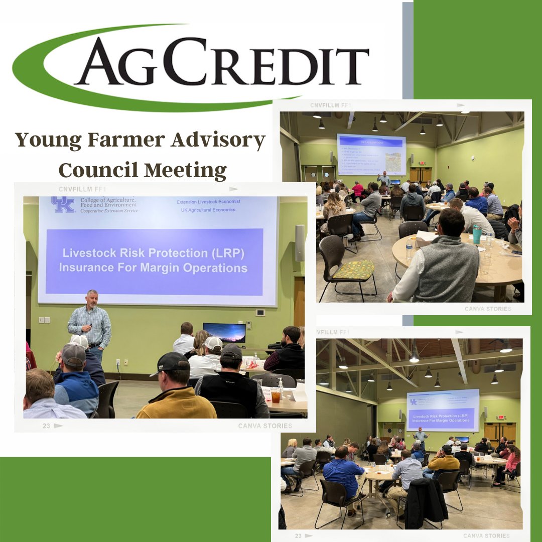 CKYAgCredit's tweet photo. The YFACouncil met for the first quarter on Tuesday night. Dr. Kenny Burdine, @kycattleecon gave a great presentation and Dr. Isaacs held discussion after.  #greatpresentation #YoungFarmers #AgEcon https://t.co/Knm6zXrfxc