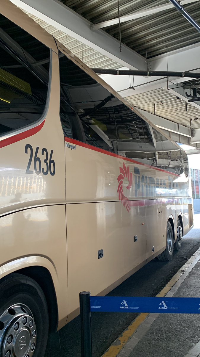 Mariana Ortiz Cabrera tweet media