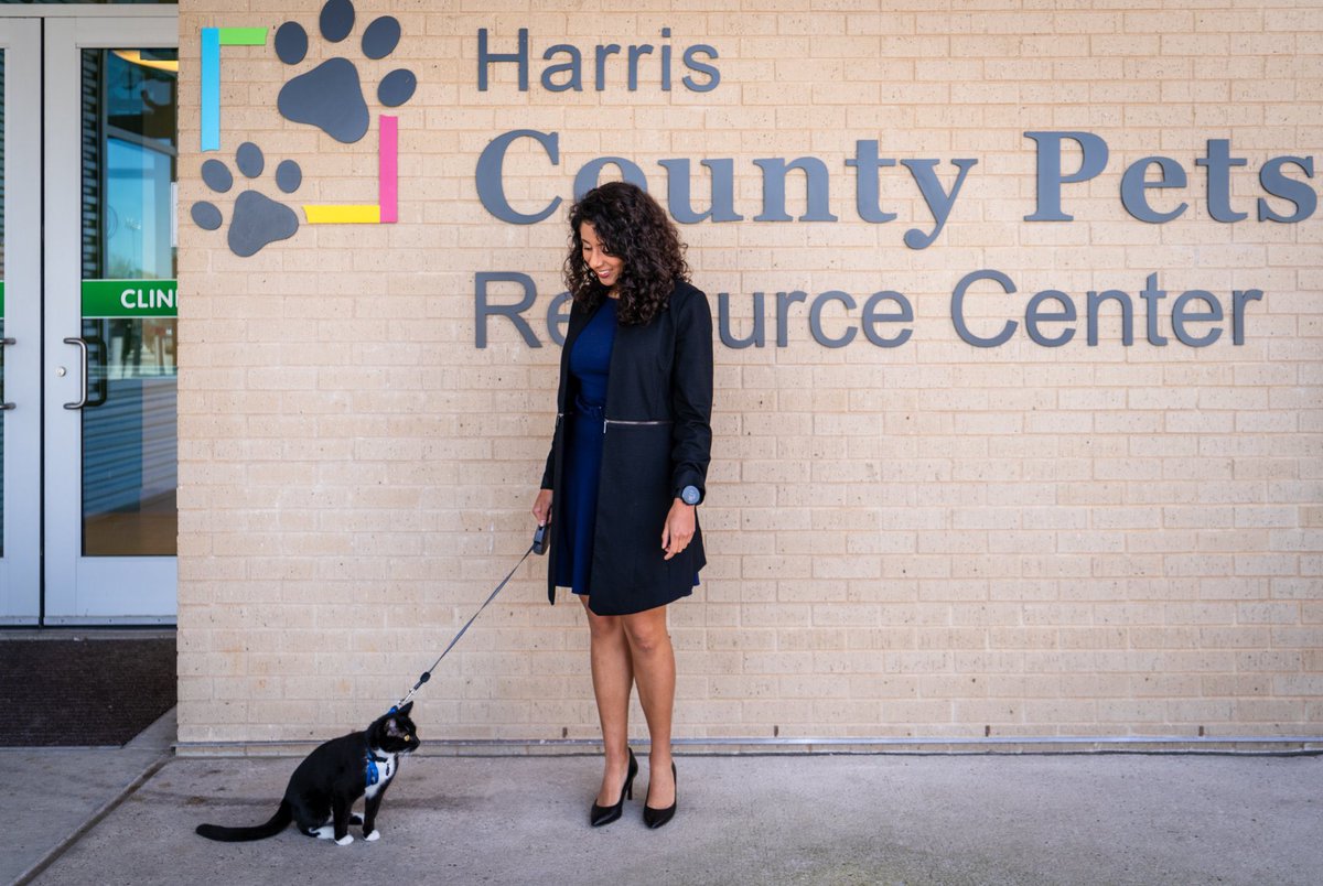 They say in that in politics if you want a friend, get a dog.  That saying also works for cats - especially this one!  Every Spring there is a huge jum​​p in the number of kittens and puppies born and in need of homes. Adopt, foster, or volunteer at countypets.com