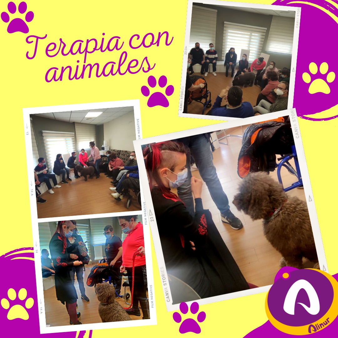 Recibimos la visita de #Elvis el perro de la familia de Paloma. Fue una visita que esperábamos con mucha ilusión y aprovechamos la ocasión para conocer mejor a estos magníficos animales y a nosotros mismos. #Laterapiasistidaconanimales ofrece un montón de alternativas