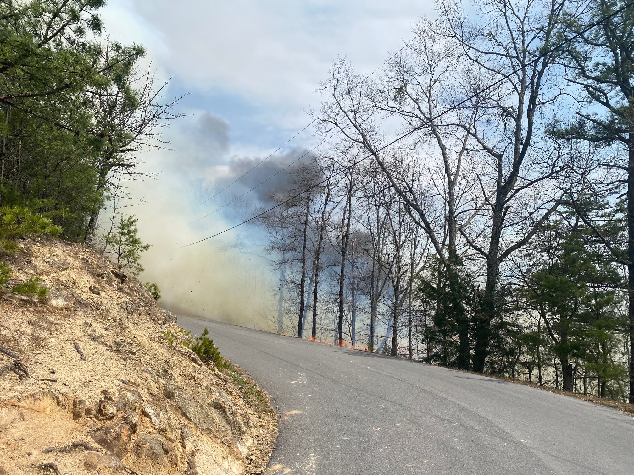 TN Dept. of Ag (TNAgriculture) / Twitter