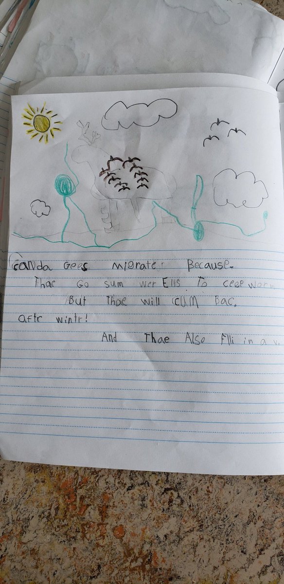 Mr. MacDonnell's Grade 1/2 tweet media